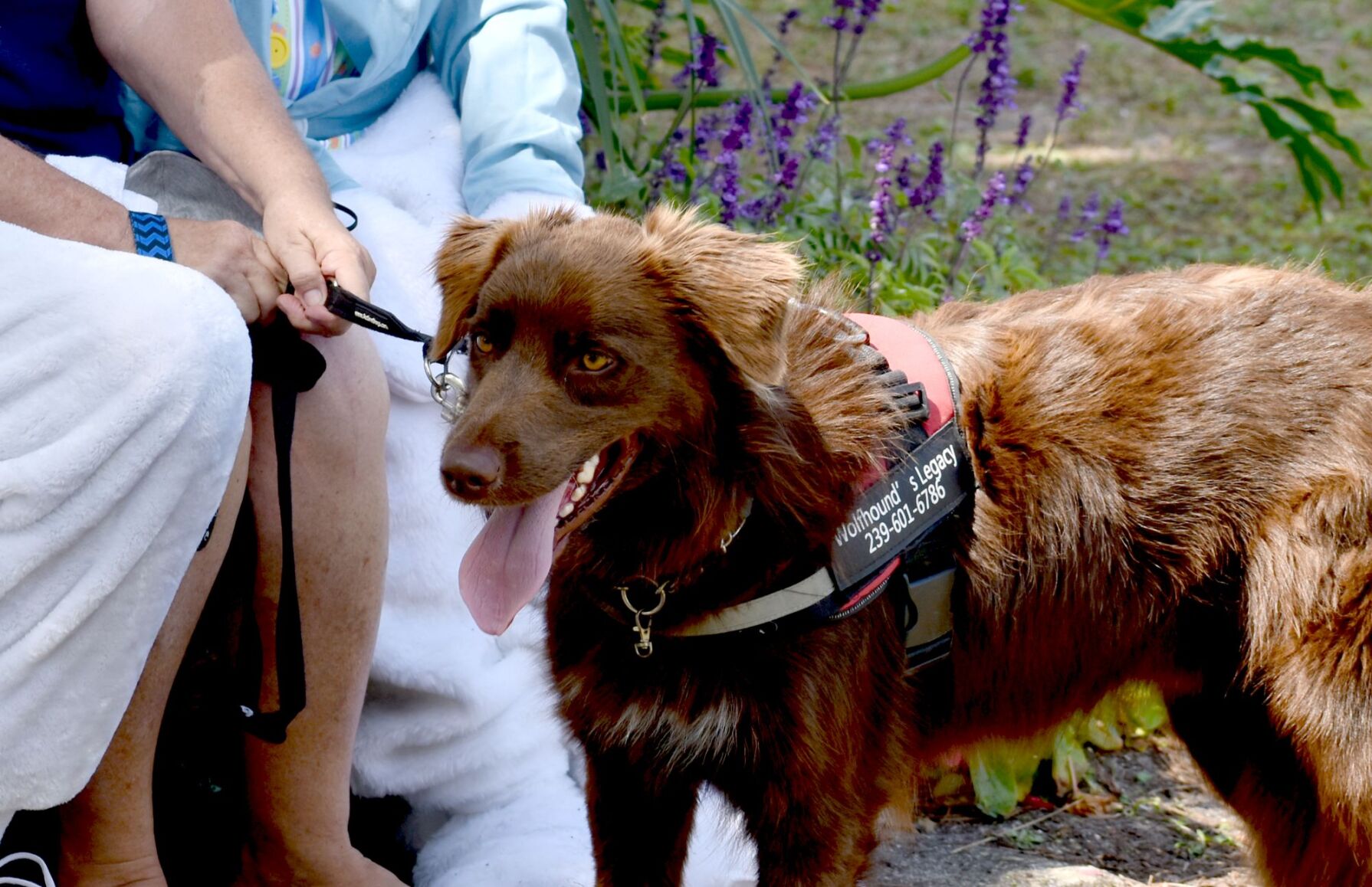Families and pets celebrate Easter early at Punta Gorda History Park